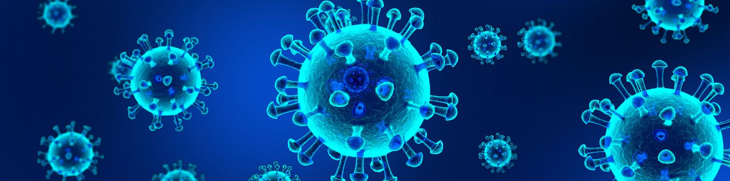 la crisis del coronavirus